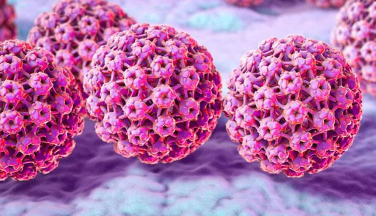 hpv