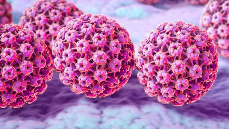 hpv